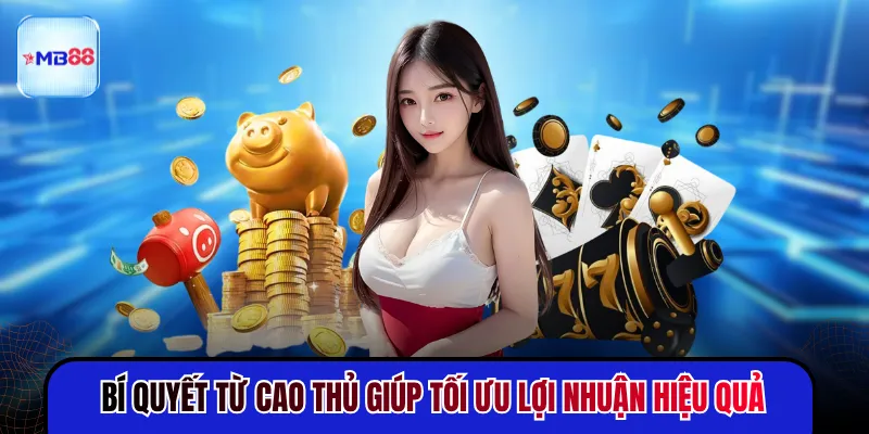 Bí quyết từ cao thủ giúp tối ưu lợi nhuận hiệu quả